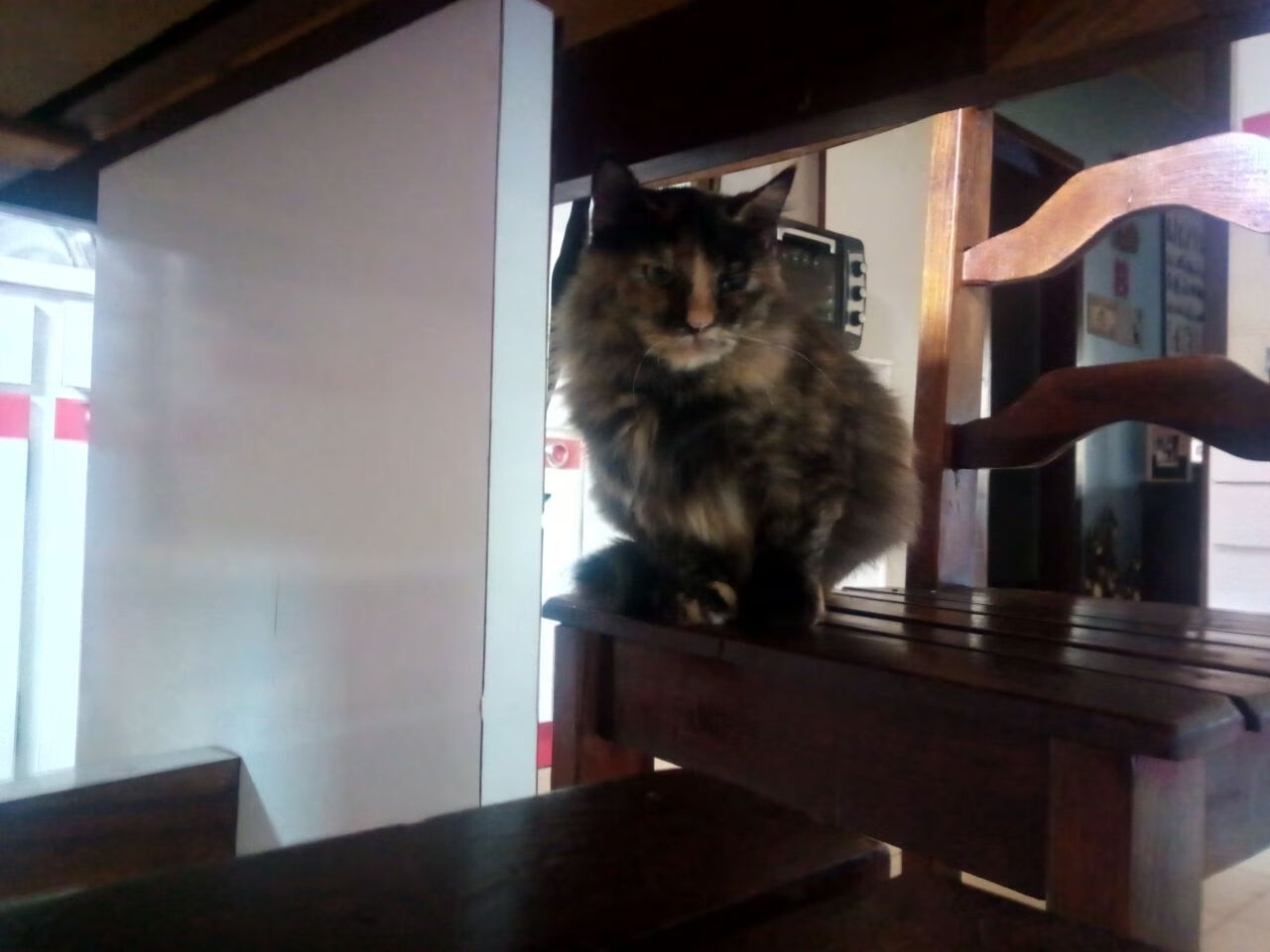 爱游戏多端接入-CS2 战队调整阵容追求突破，cs2游戏