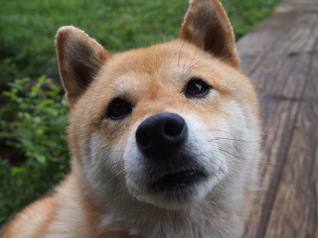 ayx爱游戏官网-CS2 新赛季赛事全面展开，csgo2什么时候出