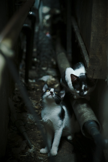 AYX体育官网-CS2 新赛季赛程安排合理，cs2游戏