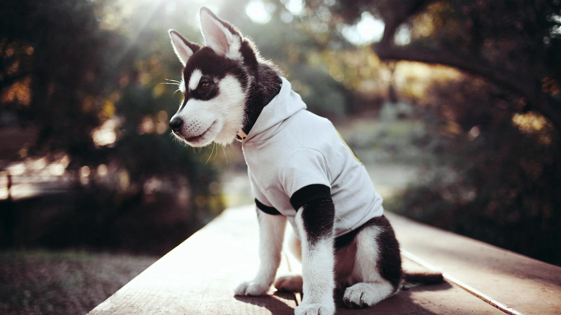 爱游戏体育官方网站-“未来之路”青少年篮球创新创业大赛在北京顺利闭幕，青少年篮球发展联盟怎么样