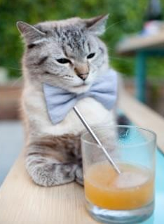 爱游戏体育账号注册-《Faker：十年不败的传奇路，未来可期》，faker职业多少年