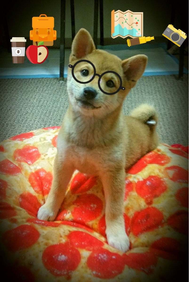 AYX体育官网-库里：百发百中，三分线外绝无仅有的“魔炮”！，库里如何超越魔术师